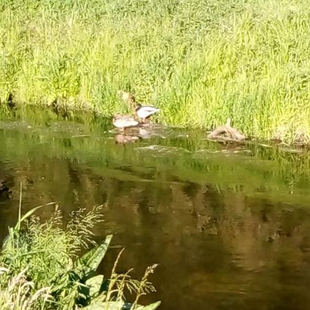 Samoa Daire Hoppegarten Dış mekan fotoğraf